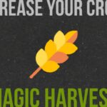 Magic Harvest