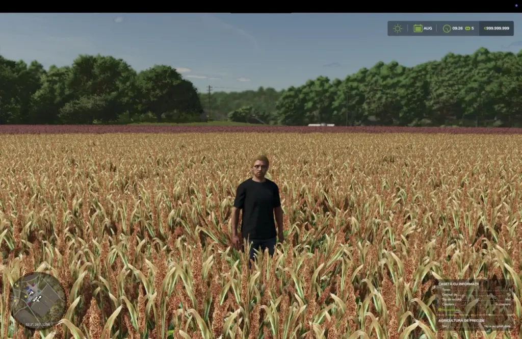 Millet (prefab) V1.0