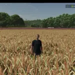 Millet (prefab) V1.0