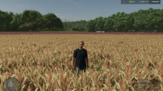 Millet (prefab) V1.0
