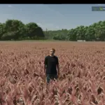 Millet (prefab) V1.0