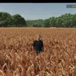Millet (prefab) V1.0