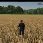 Millet (prefab) v1.0