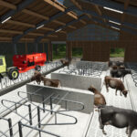Modern Cow Barn5