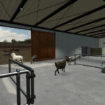Modern Sheep Barn2