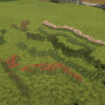 Plant Decoration Pack