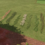 Plant Decoration Pack3