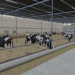 Polish Building With Cows3