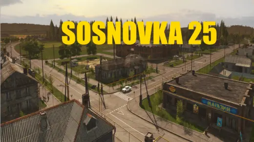 SOSNOVKA 25
