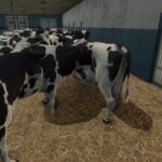 Small Manure Heap4