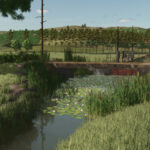 South Rice5