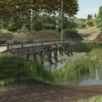 South Rice6