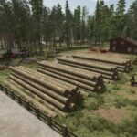 Zielonka Forest4