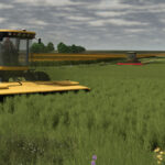 AGCO Swather Pack3