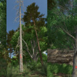 Advanced Deadwood Missions2