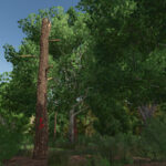 Advanced Deadwood Missions3