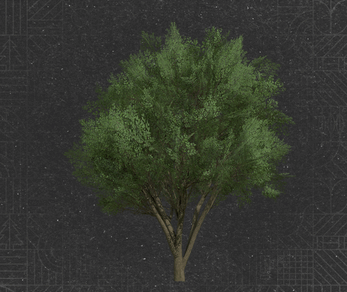 All Trees Pack