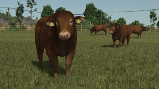 Animal Package Vanilla Edition
