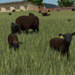 Animal Package Vanilla Edition2