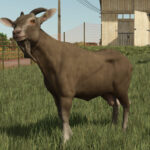 Animal Package Vanilla Edition3