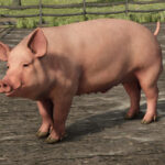 Animal Package Vanilla Edition4