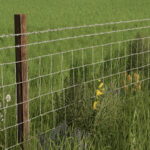 Barbed Wire Fence