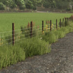 Barbed Wire Fence2