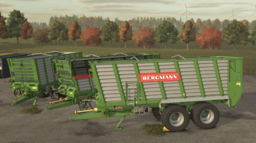 Bergmann HTW 45