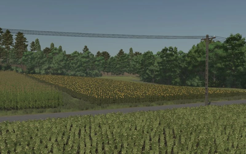 Biały Ług v1.0