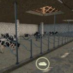 Big Cow Barn3