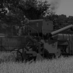Black and White Nostalgic Reshade3