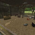 Chicken Shelter2
