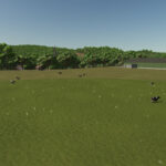 Dairy Cow Stall3