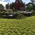 Decorative Rocks2
