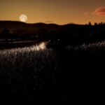 European Realistic Reshade