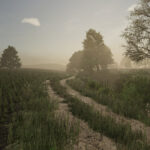 Hallig Luettenland6