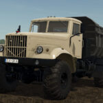 LIZARD 2552