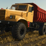 LIZARD 2554