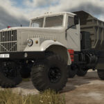 LIZARD 2555