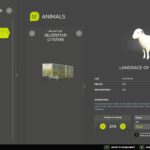 Livestock Trailer Custom