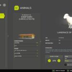 Livestock Trailer Custom3