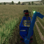 Lizard Auger Master3