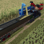 Lizard Auger Master4