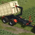 Lizard Containers Pack2