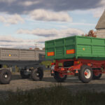 Lizard D472