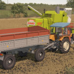 Lizard D474