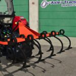 Lizard Model 83 9 Arms5