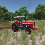 Massey Ferguson 2924