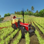 Massey Ferguson 2995