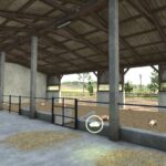 Medium Pig Shed3